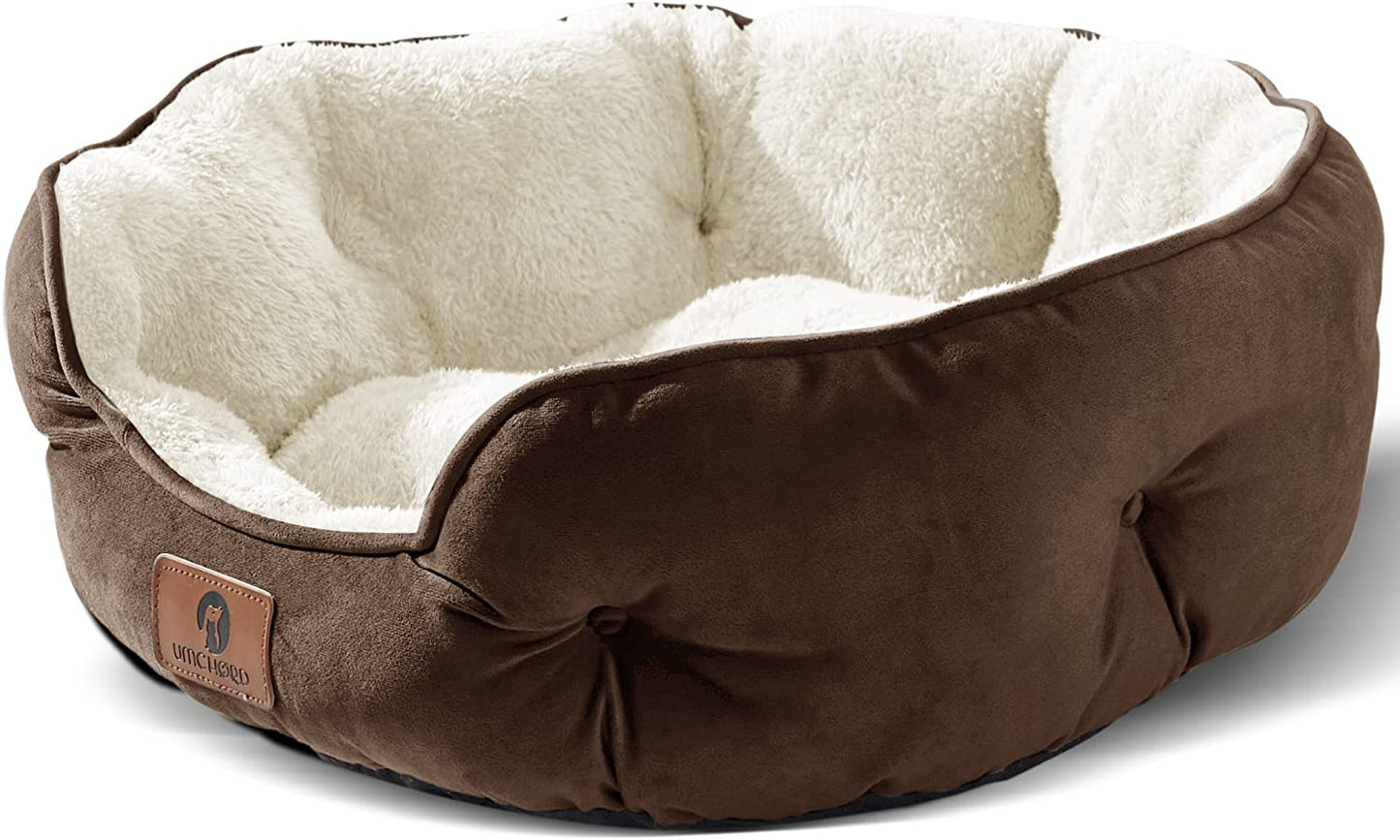 Plush Small Dog Bed for Small Dogs, Cat Beds for Indoor Cats, Pet Bed for Puppy and Kitty, Extra Soft & Machine Washable 